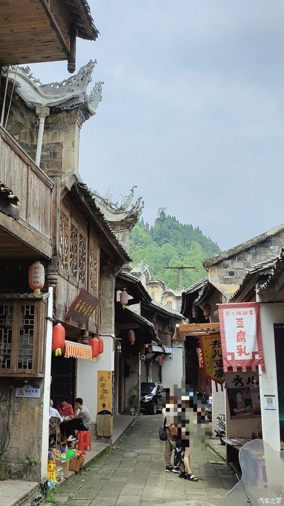 探秘越来越健忘咋办?-你身边的蜗牛问答平台